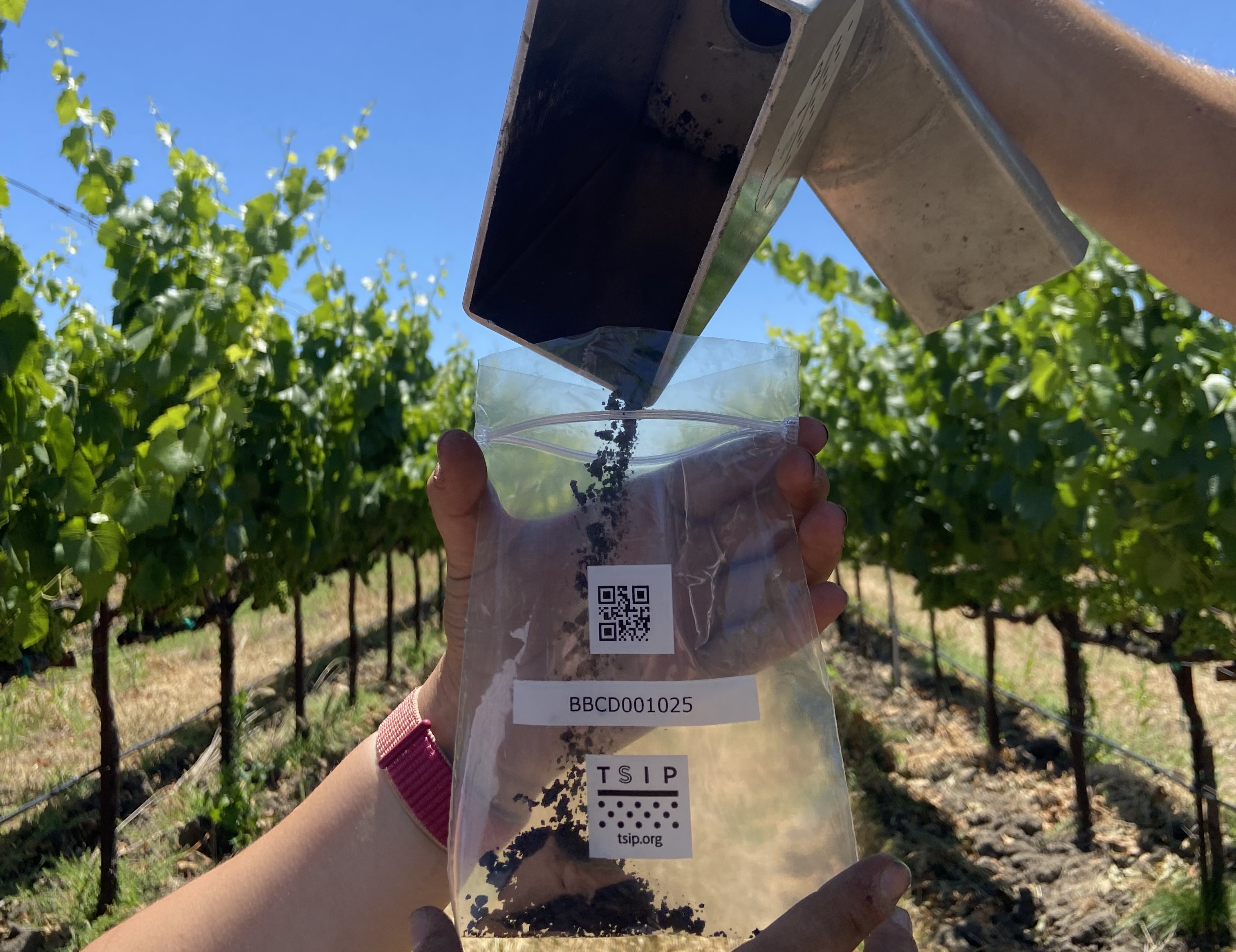 Taking a soil sample